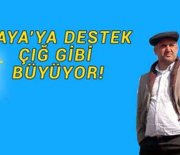 Kaya’ya Destek Çığ Gibi Büyüyor!