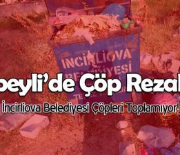 Erbeyli’de Çöp Rezaleti!